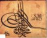 The Picture of Calligraphy