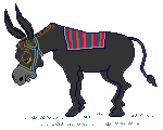 Donkey