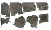 Ottoman Banknotes and Coins