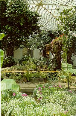 Maslak Pavilions